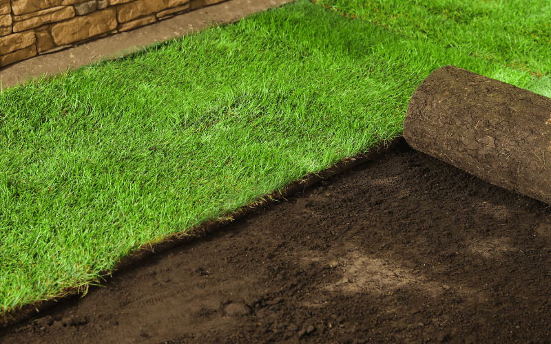 Sod Installation Services in Bixby, OK