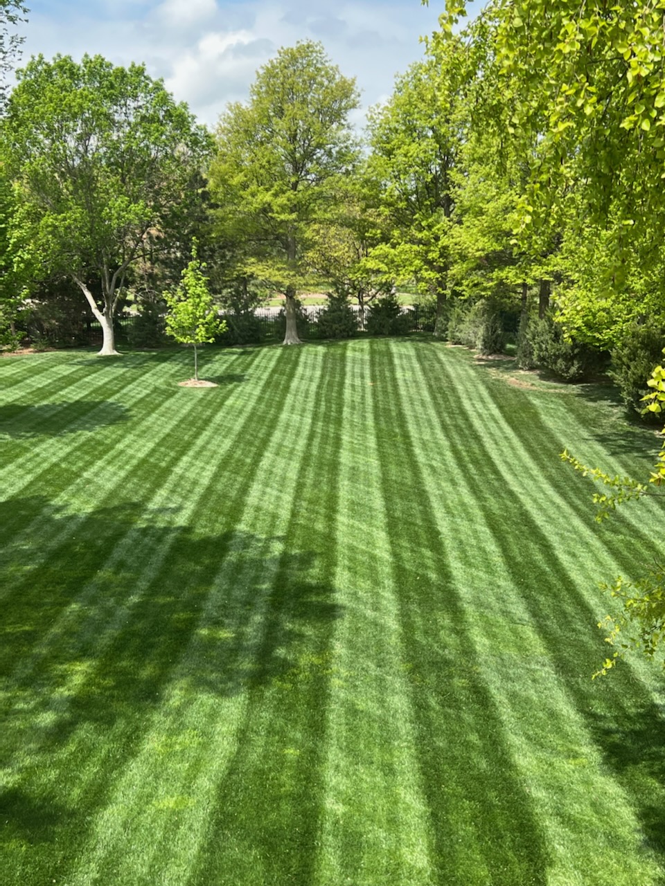 Lawn Mowing in Bixby