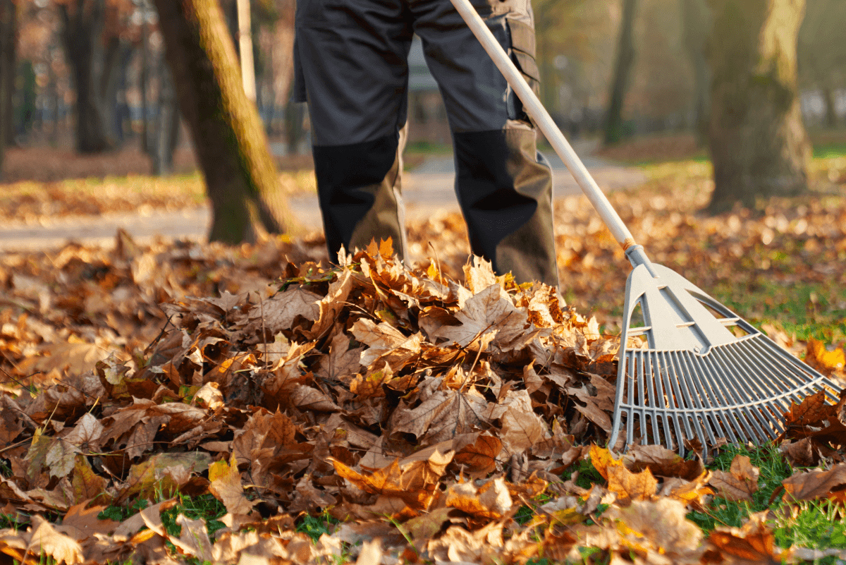 Leaf Removal in Bixby