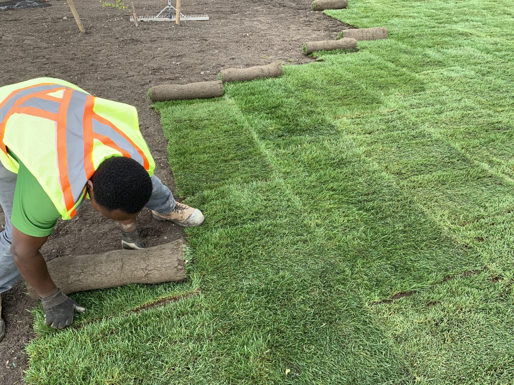 Sod Installation in Bixby